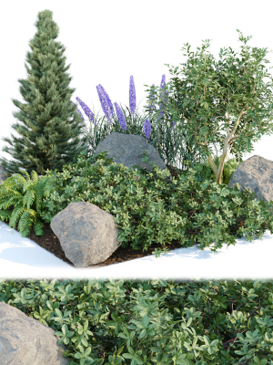 outdoor garden plants collection vol 69