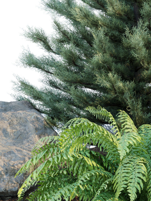 outdoor-garden-plants-collection-vol-69-3d-model-b157e87332