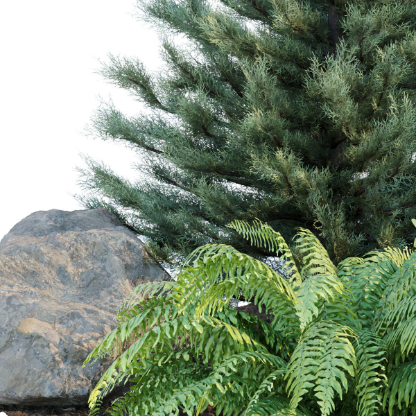 outdoor garden plants collection vol 69