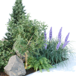 outdoor garden plants collection vol 69
