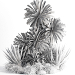 outdoor garden tree plant013 collection