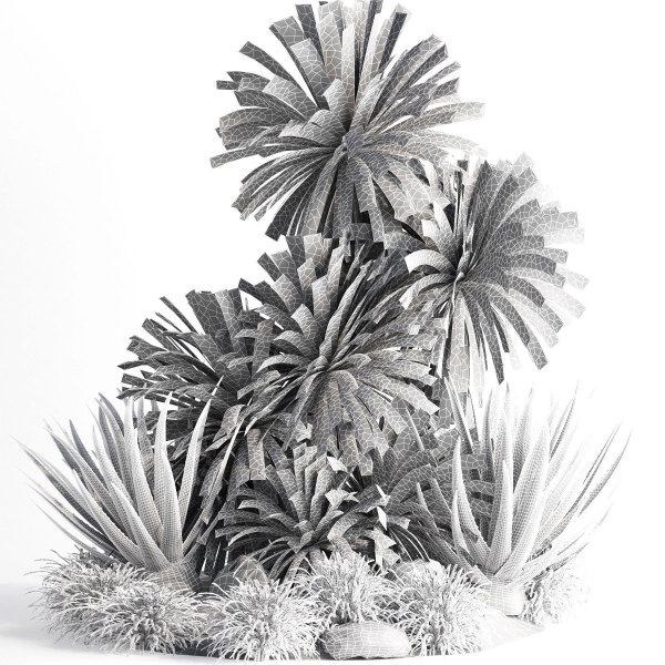 outdoor garden tree plant013 collection