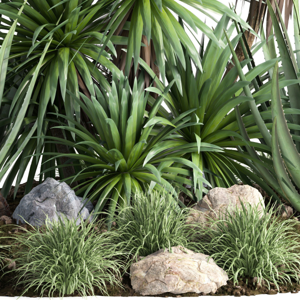 outdoor garden tree plant013 collection