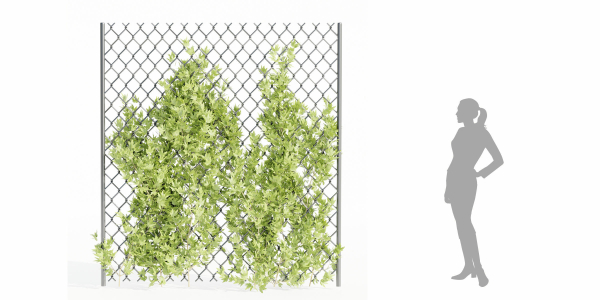 outdoor ivy fence collection vol 68-Blender