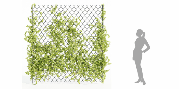 outdoor ivy fence collection vol 68-Blender