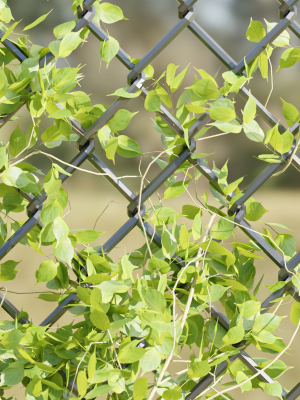 outdoor-ivy-fence-collection-vol-68-blender-3d-model-7ad36dc449