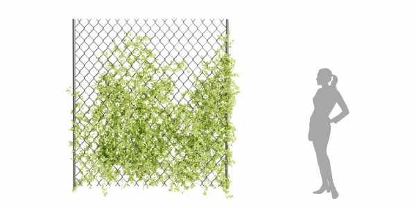 outdoor ivy fence collection vol 68-Blender