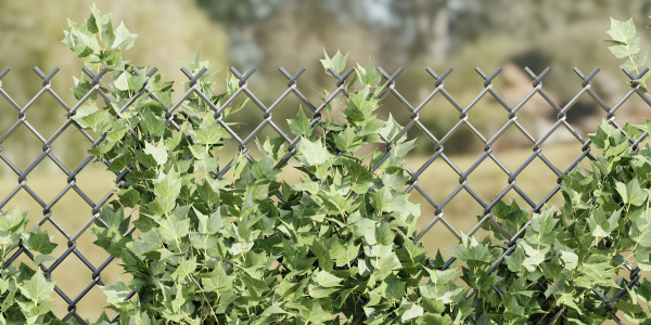 outdoor ivy fence collection vol 68-Blender
