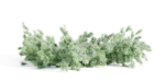 outdoor junipers collection vol 99-Blender