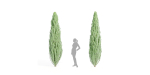 outdoor junipers collection vol 99-Blender