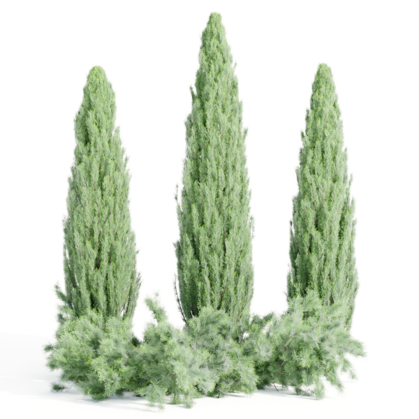 outdoor junipers collection vol 99-Blender