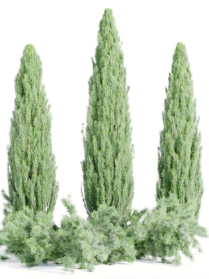 outdoor junipers collection vol 99-Blender