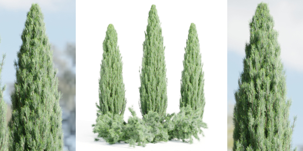outdoor junipers collection vol 99-Blender