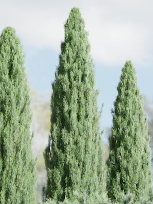 outdoor-junipers-collection-vol-99-blender-3d-model-e3f333e9b9
