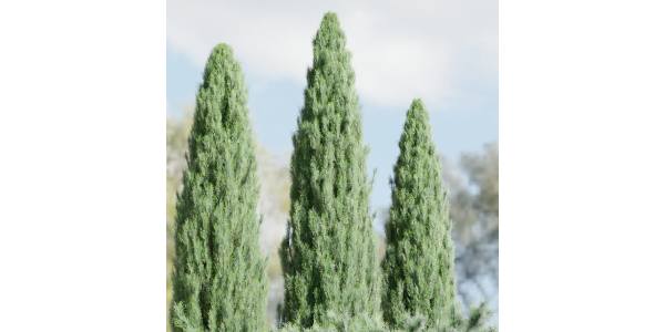 outdoor junipers collection vol 99-Blender