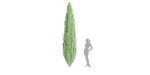 outdoor junipers collection vol 99-Blender