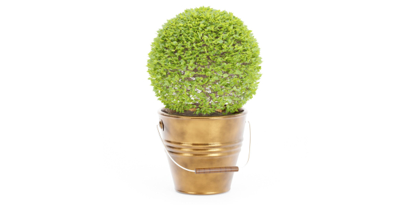 outdoor natural plants collection vol 65-Blender
