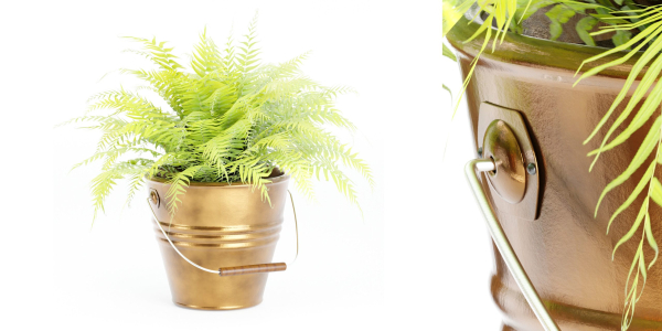 outdoor natural plants collection vol 65-Blender