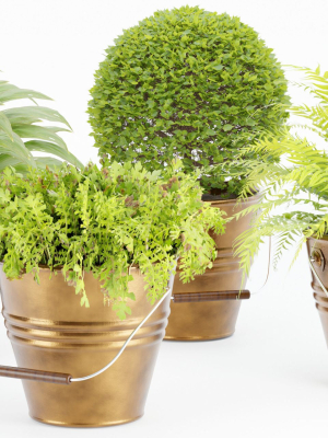 outdoor natural plants collection vol 65-Blender