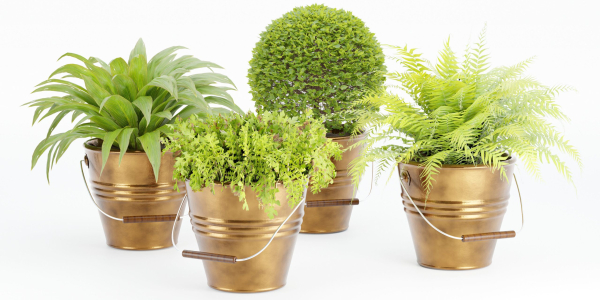 outdoor natural plants collection vol 65-Blender