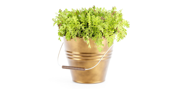 outdoor natural plants collection vol 65-Blender