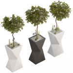 outdoor plant 02