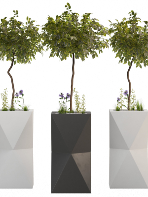 outdoor plant 02