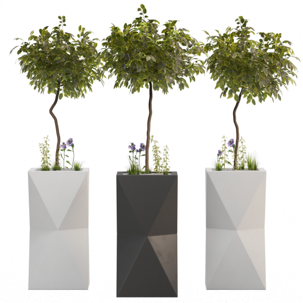 outdoor plant 02