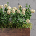 Outdoor Plant Set 001 Plant Box