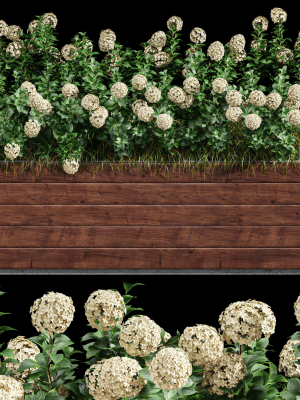 Outdoor Plant Set 001 Plant Box
