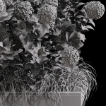 Outdoor Plant Set 001 Plant Box