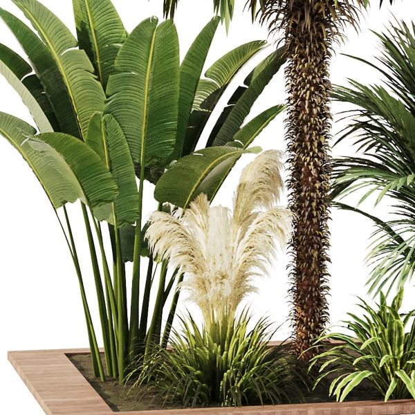 Outdoor Plant set5
