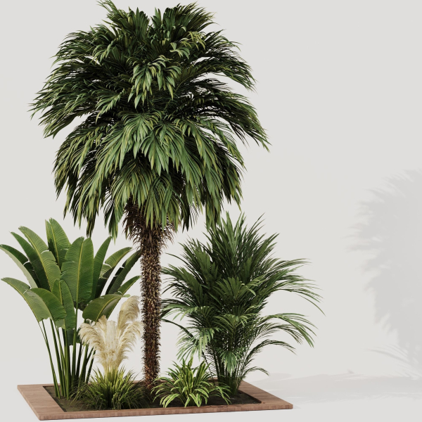 Outdoor Plant set5