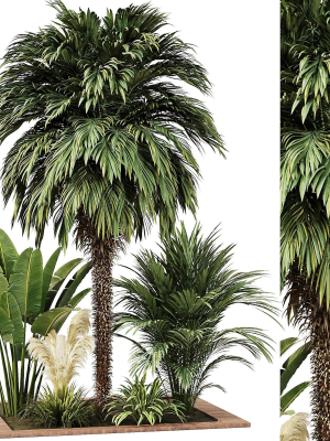 Outdoor Plant set5