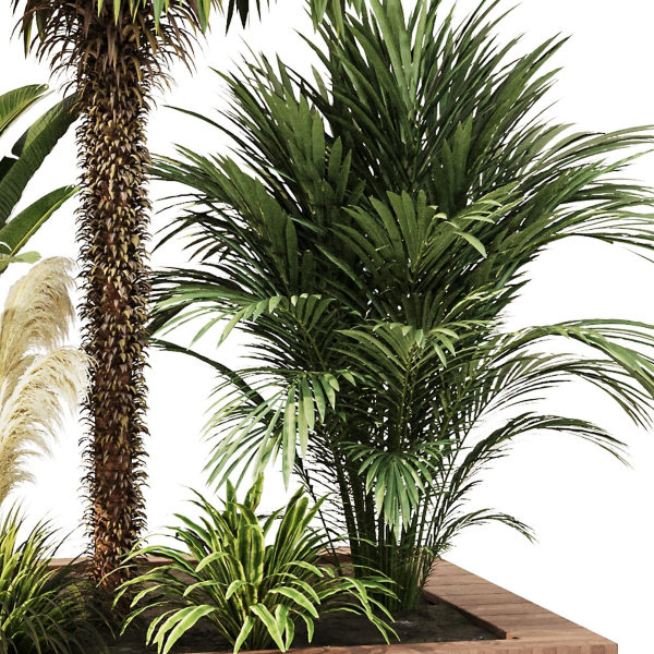 Outdoor Plant set5