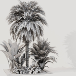 Outdoor Plant set5