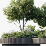 Outdoor Plants 2
