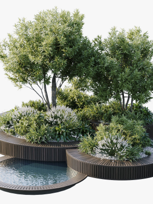Outdoor Plants 2
