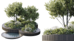 Outdoor Plants 2
