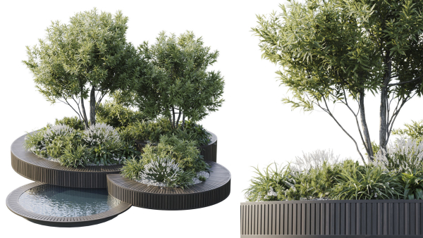 Outdoor Plants 2