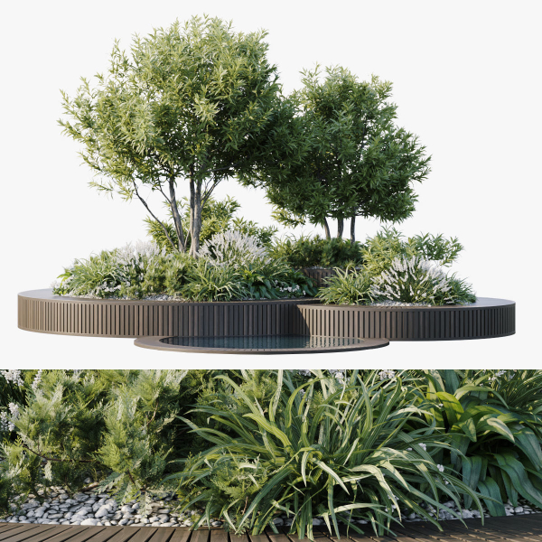 Outdoor Plants 2