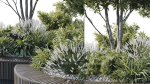Outdoor Plants 2