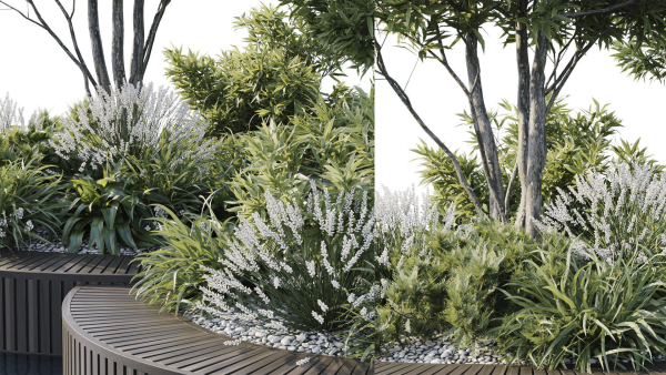 Outdoor Plants 2