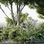 Outdoor Plants 2