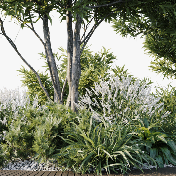 Outdoor Plants 2