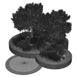 Outdoor Plants 2