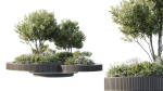 Outdoor Plants 2
