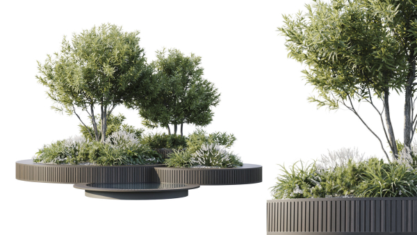 Outdoor Plants 2