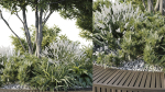 Outdoor Plants 2