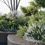 Outdoor Plants 2